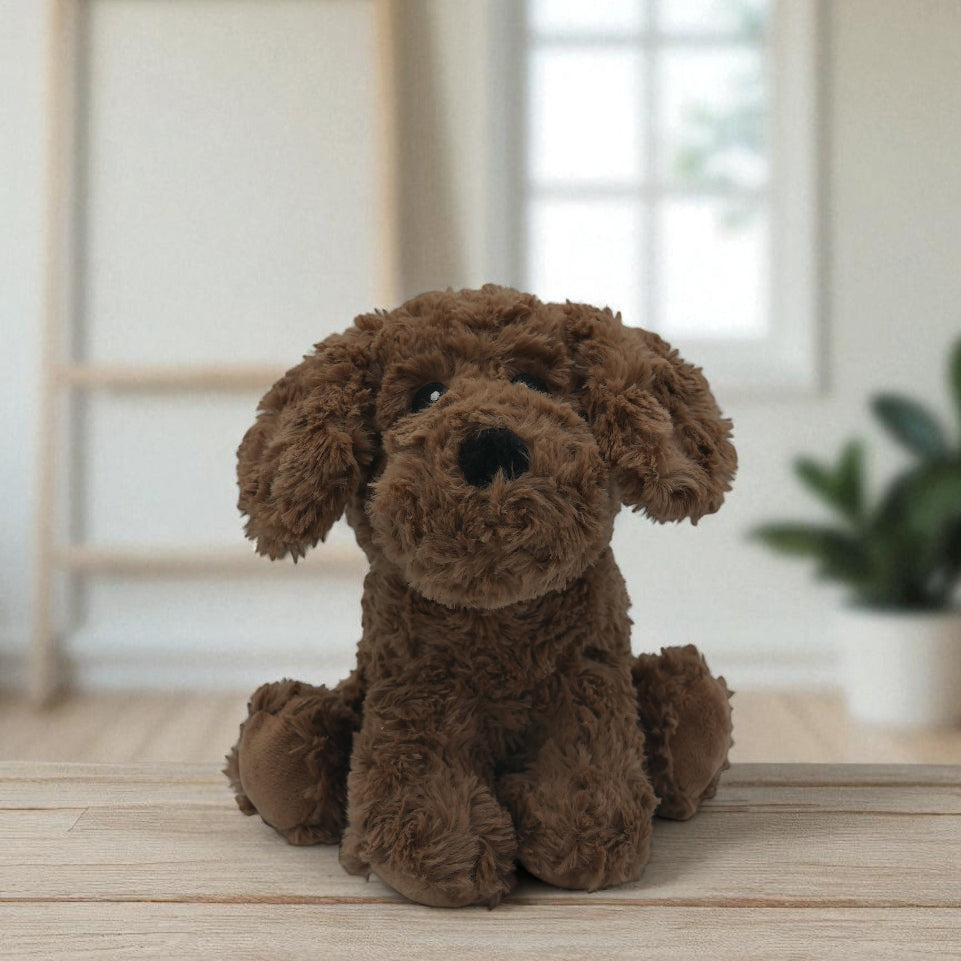 đ¶ Pitou, le petit chiot