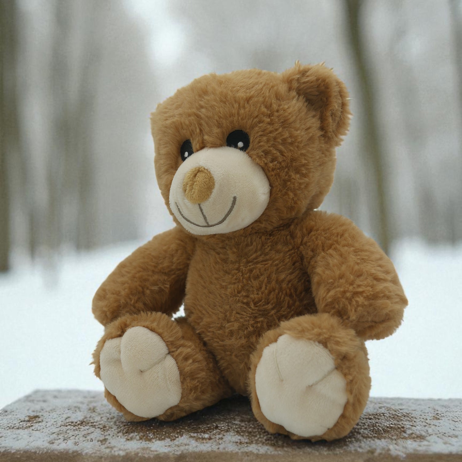 🧸 Pompon l'ourson