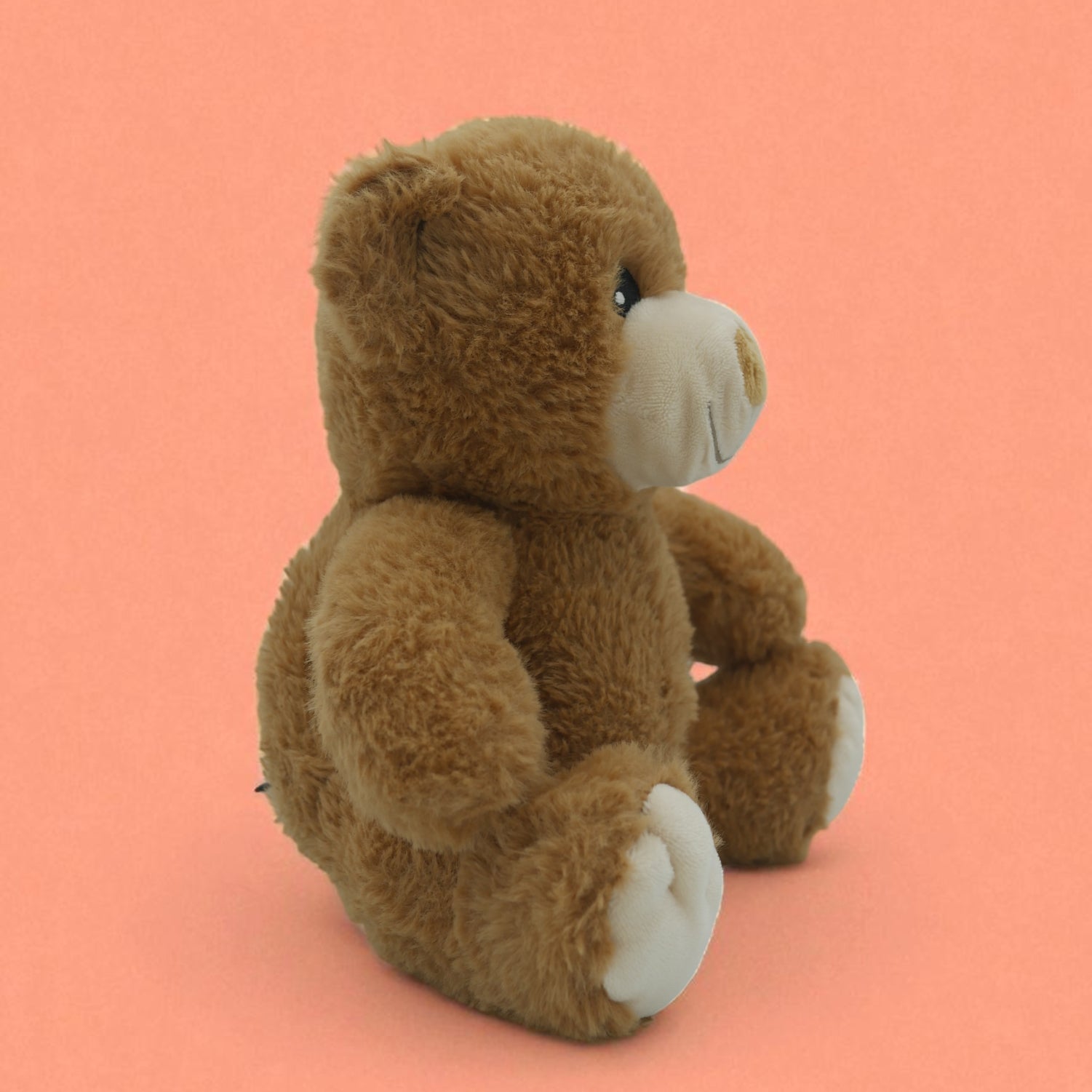 đ§ž Pompon, le petit ourson