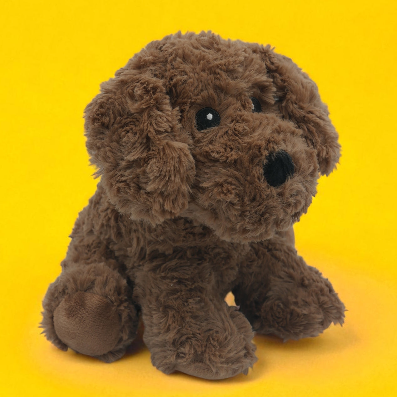 đ¶ Pitou, le petit chiot