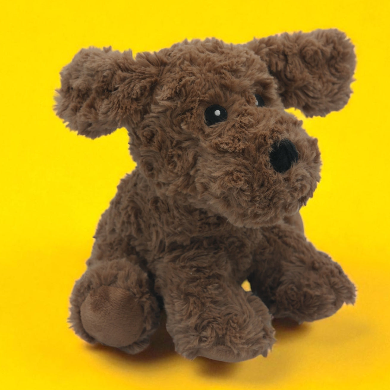 đ¶ Pitou, le petit chiot