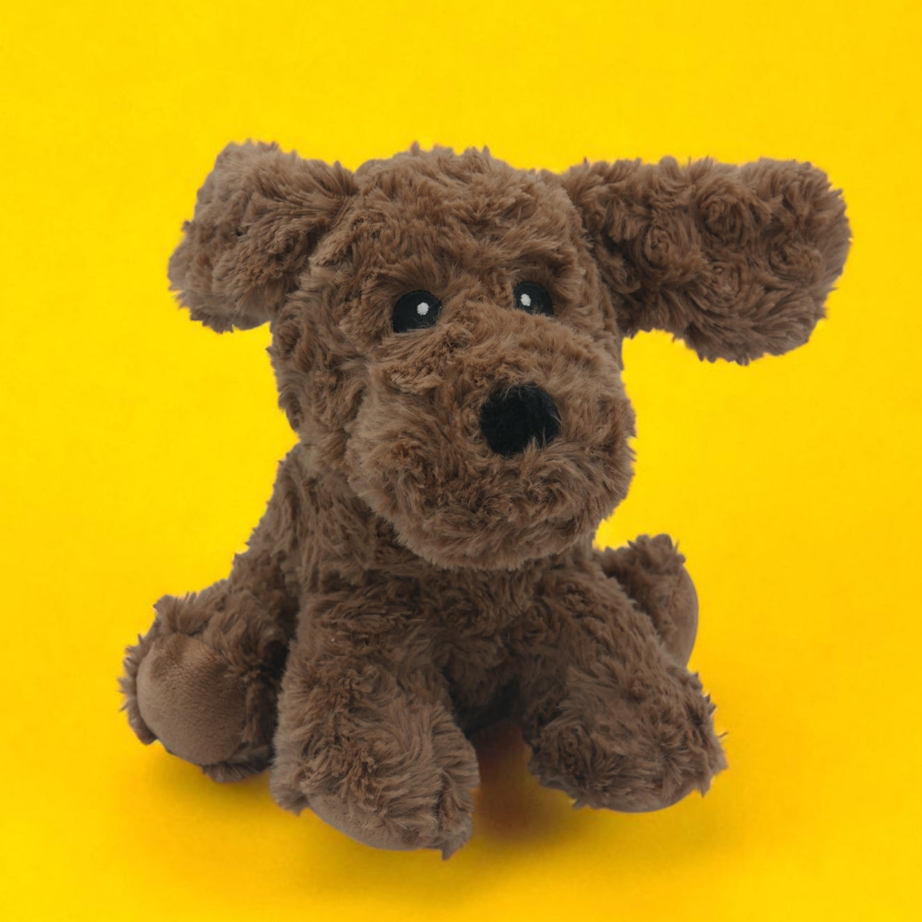 đ¶ Pitou, le petit chiot