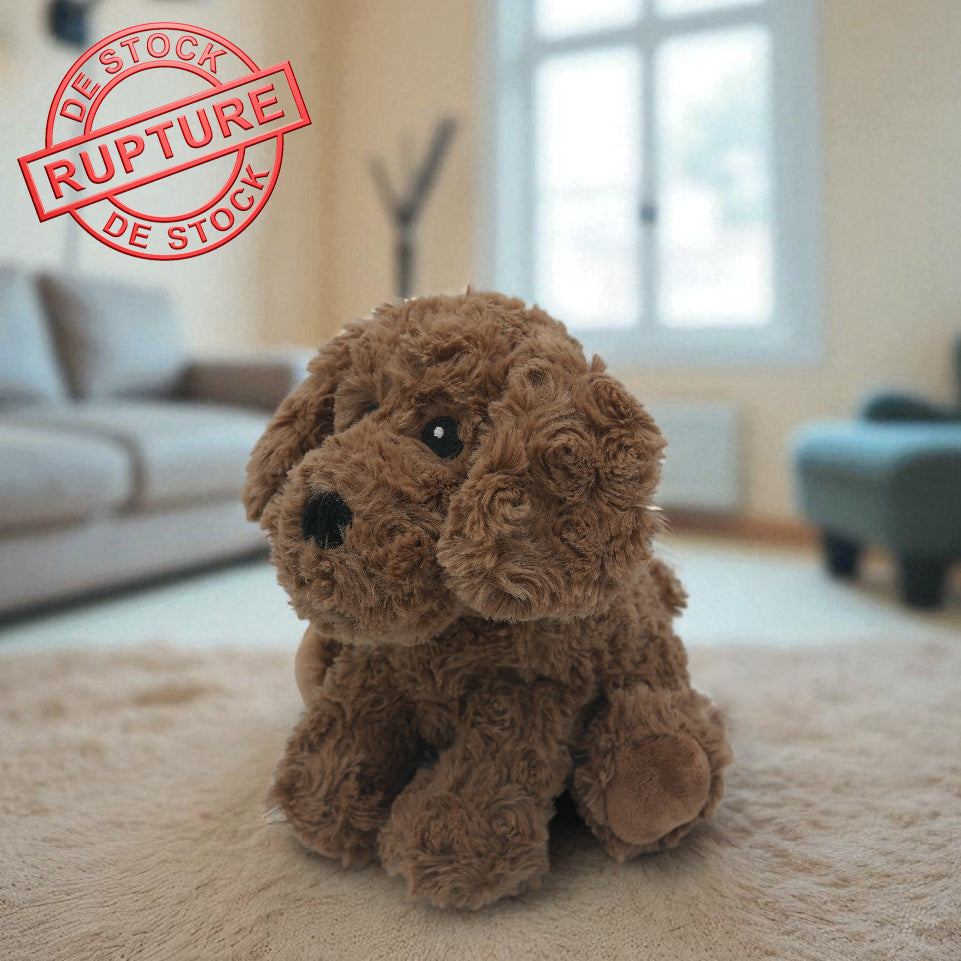 🐶 Pitou le chiot - Rupture de stock