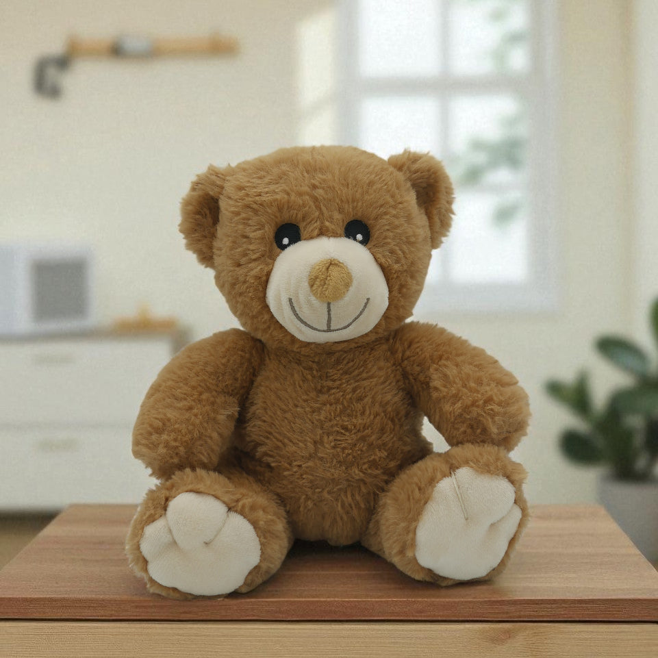 🧸 Pompon, le petit ourson