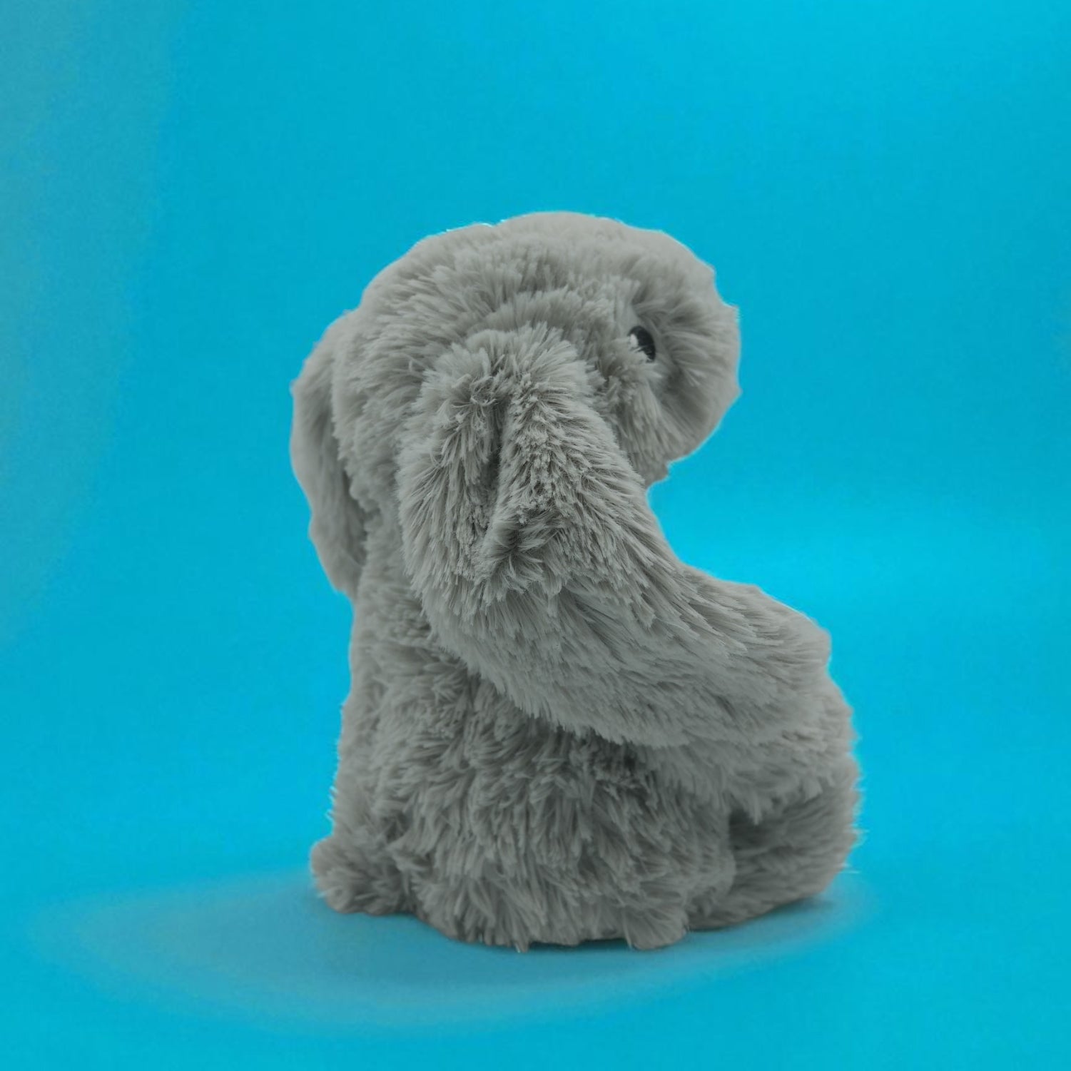 🐰 Pépin, le petit lapin