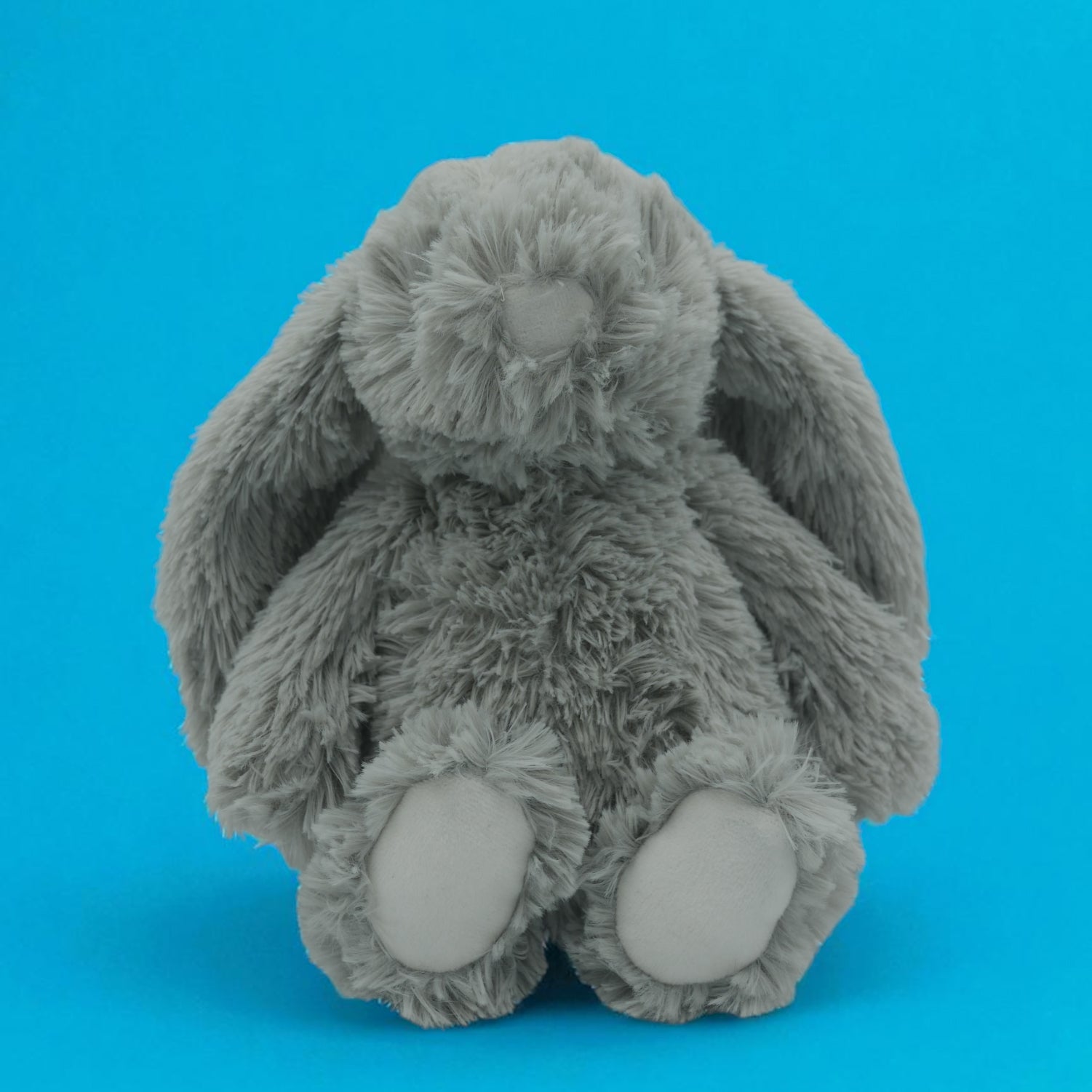 🐰 Pépin, le petit lapin