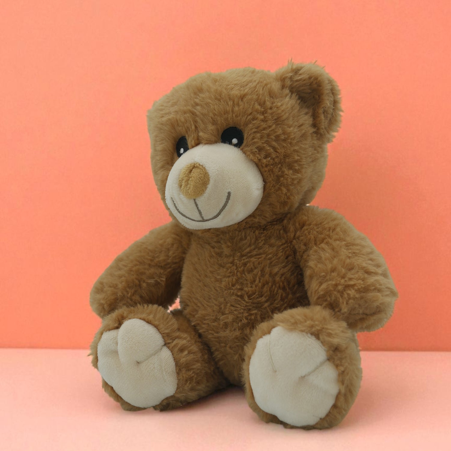 🧸 Pompon, le petit ourson