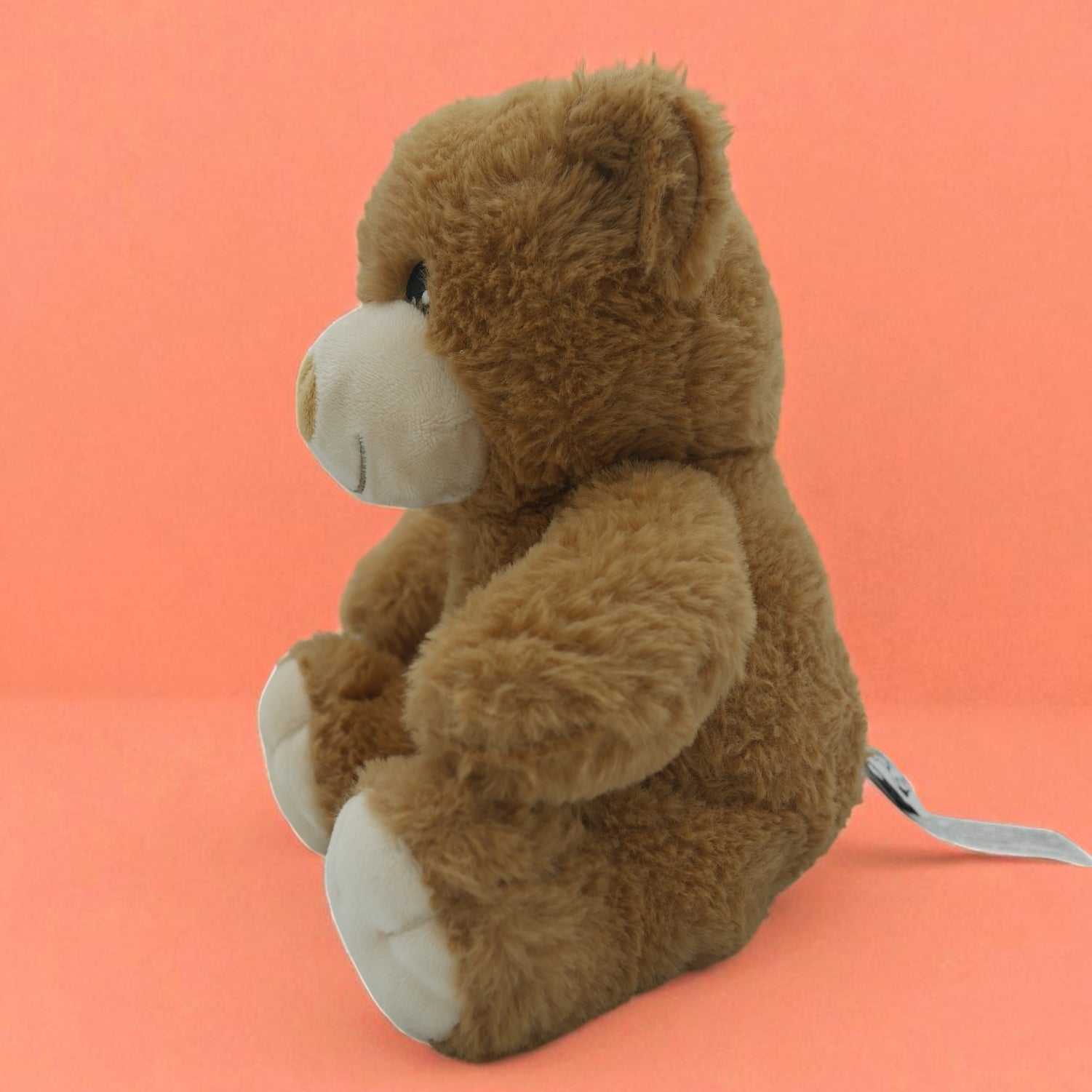 🧸 Pompon, le petit ourson